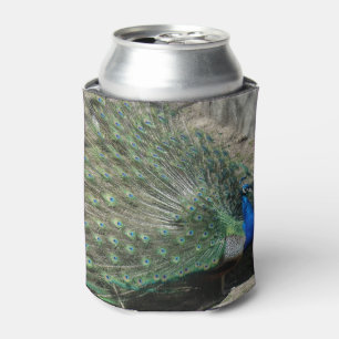 Enfriador De Latas Pavo Real Hermoso