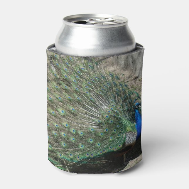 Enfriador De Latas Pavo Real Hermoso (Lata Anverso)