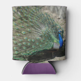 Enfriador De Latas Pavo Real Hermoso