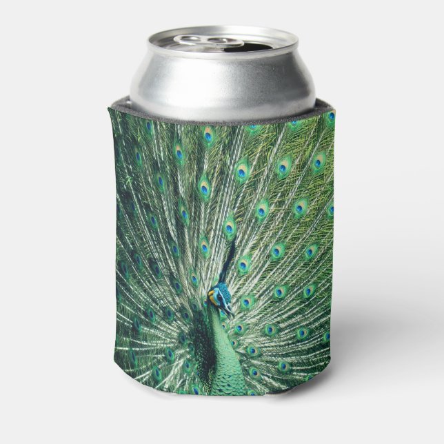 Enfriador De Latas Peacock Strut (Reverso de la lata)