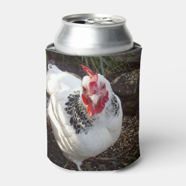 Enfriador De Latas pecas de pollo, (Lata Anverso)