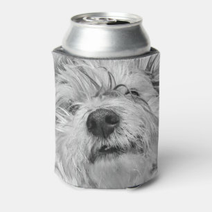 Enfriador De Latas Perro Coton de Tulear