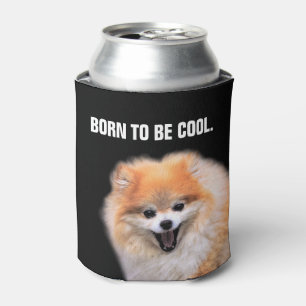 Enfriador De Latas Perro de risa lindo de Pomeranian