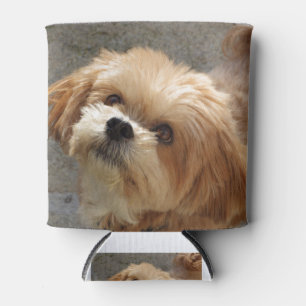 Enfriador De Latas Perro Lhasa Apso en un jardín