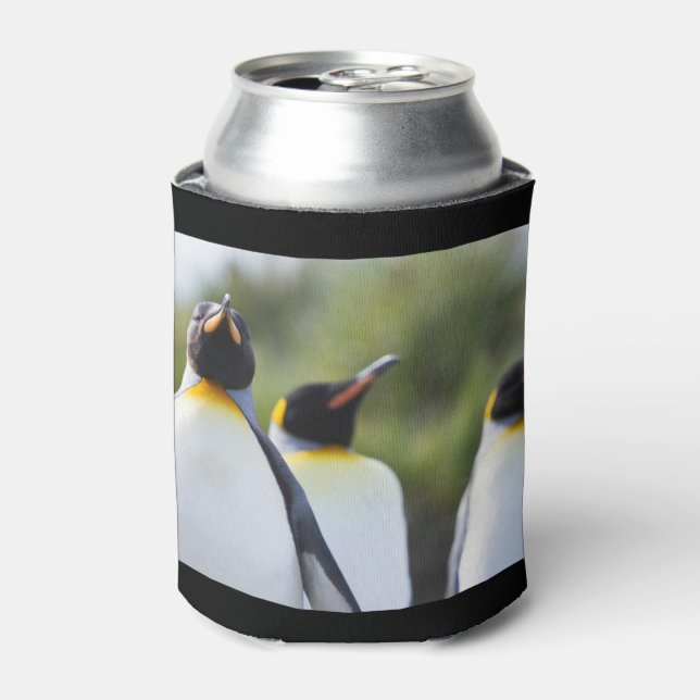 Enfriador De Latas Pingüinos de rey (Lata Anverso)