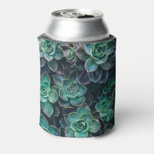 Enfriador De Latas Plantas suculentas azulverdes