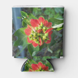 Enfriador De Latas Poinsettia silvestre