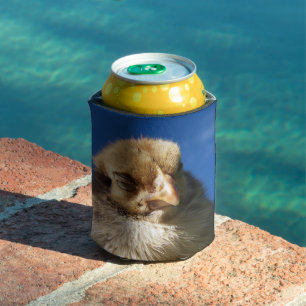 Enfriador De Latas pollo, animal, pollito, ave, granja, máscara, lind