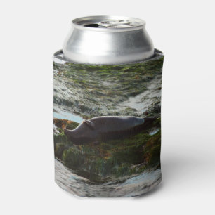 Enfriador De Latas Puerto de San Diego con foca iluminada por la pues