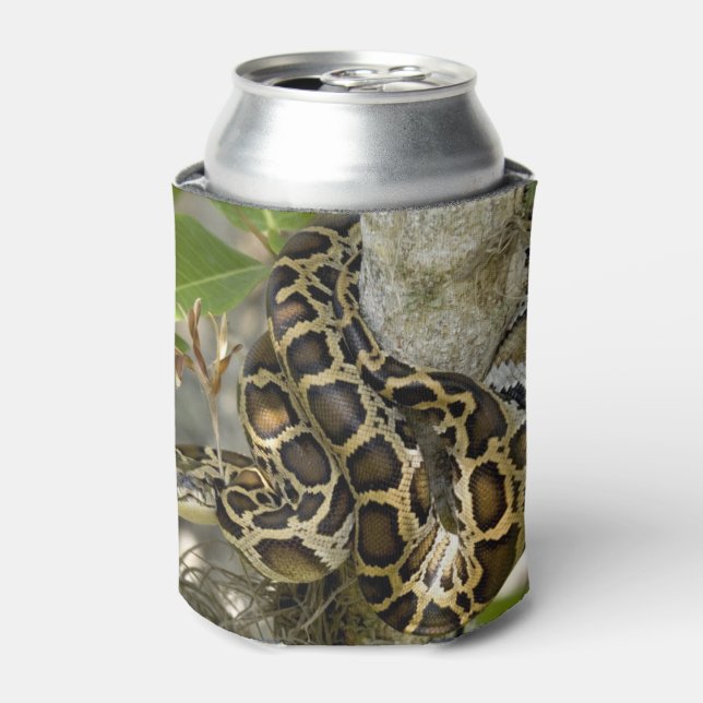 Enfriador De Latas Python birmano (Lata Anverso)