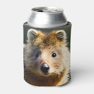 Enfriador De Latas Quintin The Ginger Quokka, Refrigerador de bebidas