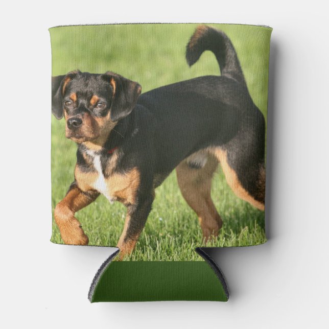 Enfriador De Latas Rascal (Anverso)