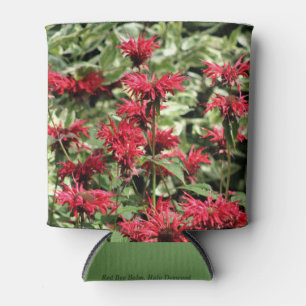 Enfriador De Latas Red Bee Balm & Halo Dogwood