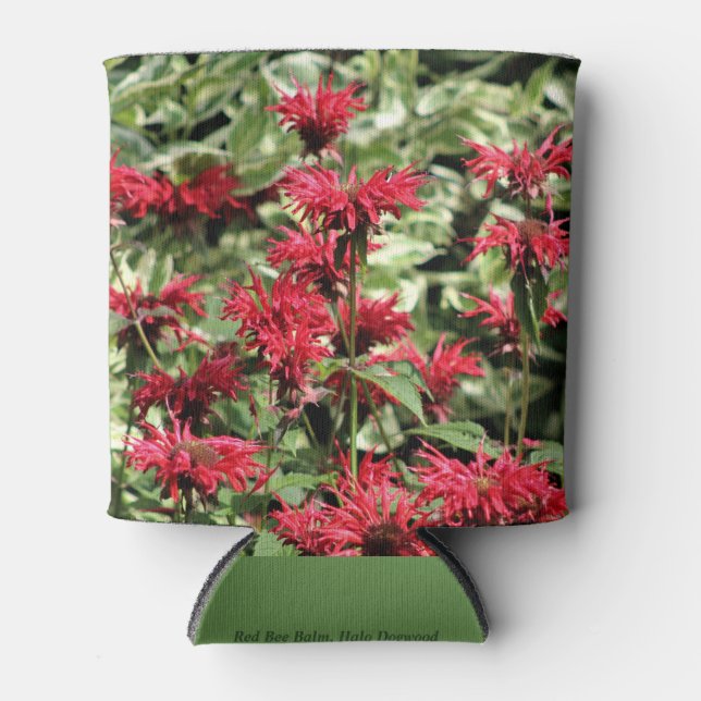 Enfriador De Latas Red Bee Balm & Halo Dogwood (Anverso)