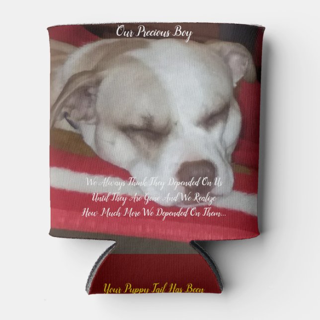 Enfriador De Latas Refrigerador (Anverso)