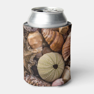 Enfriador De Latas Refrigerador de bebidas de conchas marinas mixtas