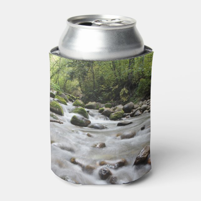 Enfriador De Latas Refrigerador de bebidas de monograma de personaliz (Lata Anverso)