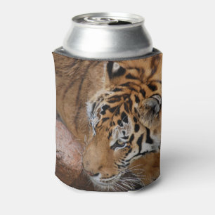 Enfriador De Latas Refrigerador de bebidas del tigre de Bengala