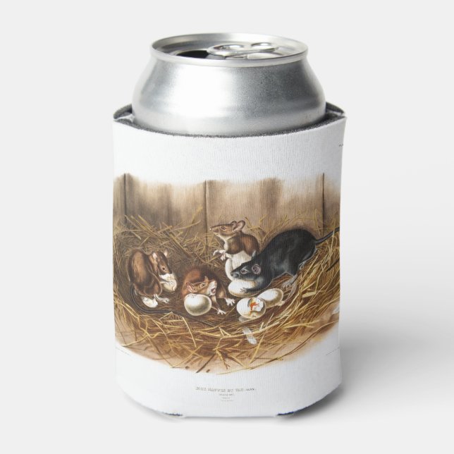 Enfriador De Latas Regalos de cemento de rata negra (Lata Anverso)