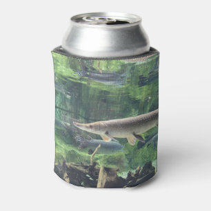 Enfriador De Latas River Pike Fish Clear Water Photo