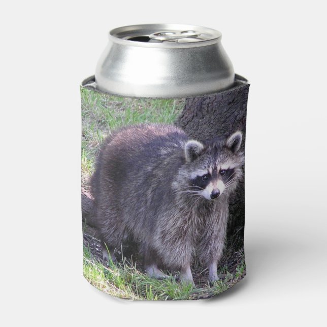 Enfriador De Latas Rocky el mapache (Lata Anverso)