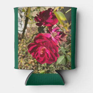 Enfriador De Latas Rosas rojas oscuras