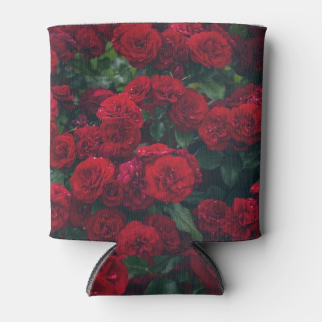 Enfriador De Latas Rosas rojas oscuras caídas en el agua (Anverso)