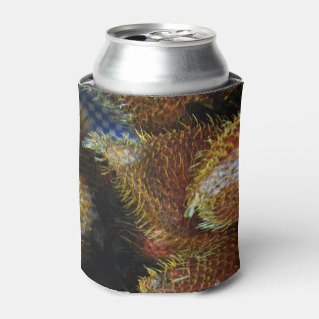Enfriador De Latas Salak [Fruta de la serpiente] (Lata Anverso)