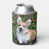 Salto de Perro Corgi Cute