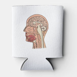 Enfriador De Latas Sección transversal del cerebro midsagital