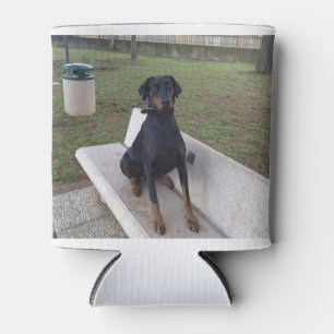 Enfriador De Latas sesión de doberman pincher