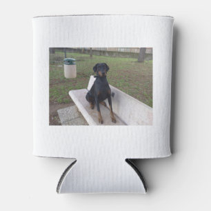 Enfriador De Latas sesión de doberman pincher