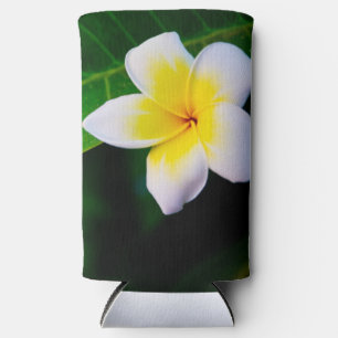 Enfriador De Latas Slim Fotografía floral de frangipani tropical