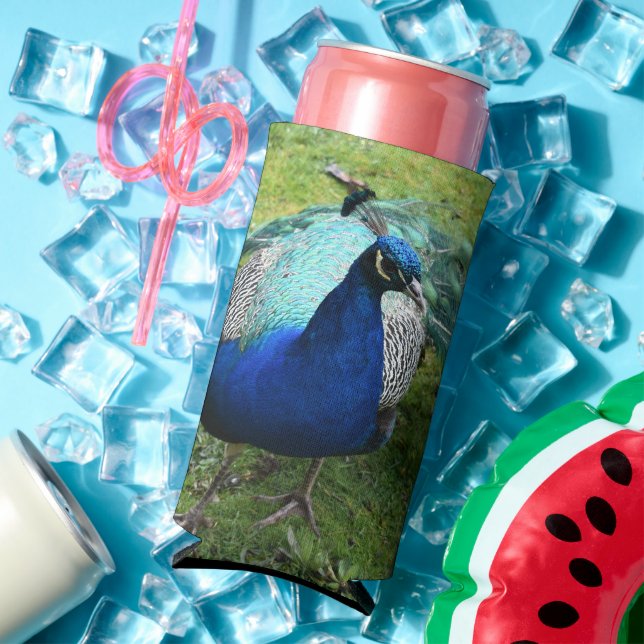 Enfriador De Latas Slim Regal Peacock Power Cooler (Verano in situ)