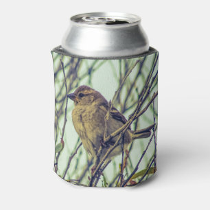 Enfriador De Latas Sparrow en la foto del árbol