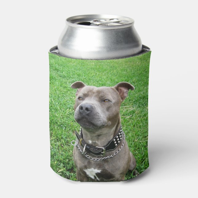 Enfriador De Latas Staffordshire Bull Terrier, (Lata Anverso)