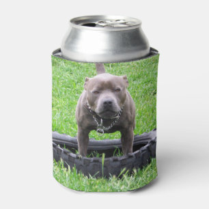 Enfriador De Latas Staffordshire Bull Terrier, Tiempo de juego,