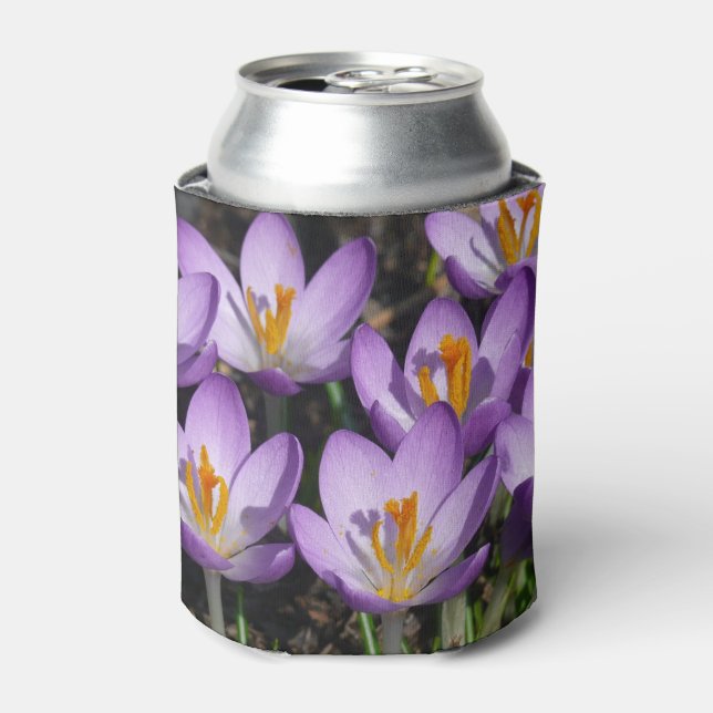 Enfriador De Latas Sunny Purple Crocuses (Lata Anverso)