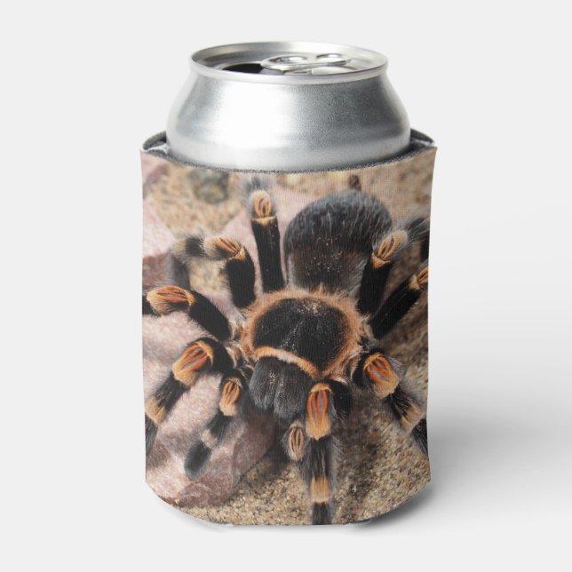 Enfriador De Latas Tarantula (Lata Anverso)