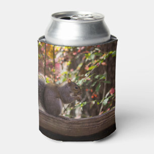 Enfriador De Latas Tiempo de Chow de ardilla