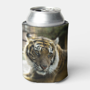 Enfriador De Latas Tigre de Bengala