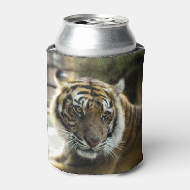 Enfriador De Latas Tigre de Bengala (Lata Anverso)