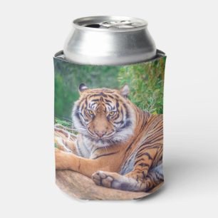 Enfriador De Latas Tigre reclinado relajado