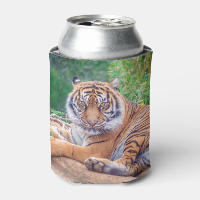 Enfriador De Latas Tigre reclinado relajado (Lata Anverso)