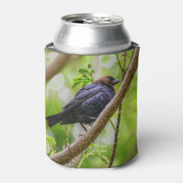 Enfriador De Latas Tordo Cabeza Marrón