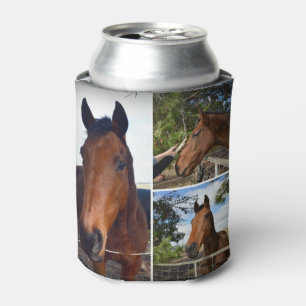 Enfriador De Latas Tres caballos marrones,