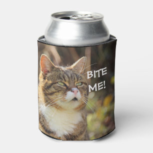 Enfriador De Latas Un gato gracioso y sin actitud me muerde