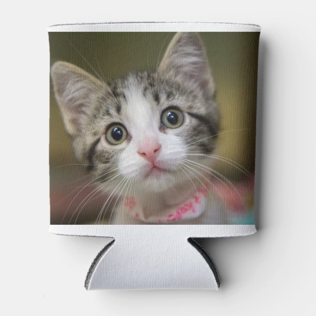 Enfriador De Latas Un lindo gatito con ojos verdes (Anverso)