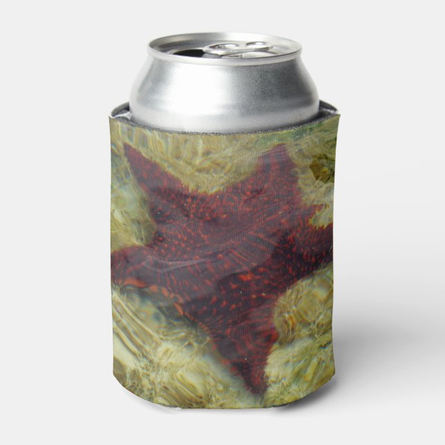 Enfriador De Latas Underwater Starfish in the Bahamas (Lata Anverso)