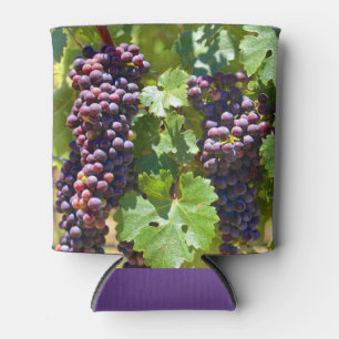 Enfriador De Latas Uvas